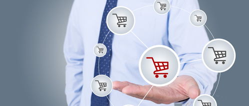 电子商务就业方向全景解析与信息咨询服务探析